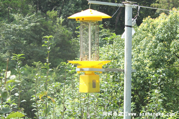 高壓電擊殺蟲(chóng)燈接220V交流電殺蟲(chóng)燈效果
