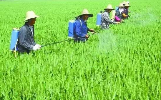太陽(yáng)能殺蟲(chóng)燈哪家好？不能只圖價(jià)格便宜，否則得不償失