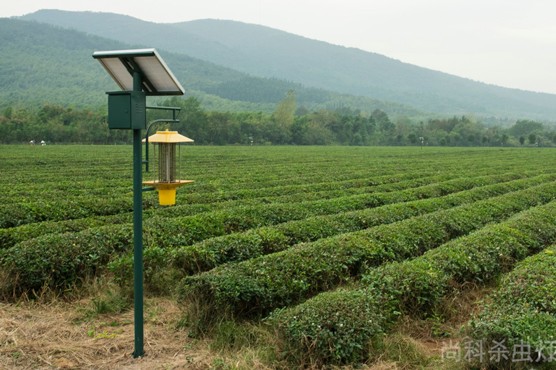 高桿電擊式太陽(yáng)能殺蟲(chóng)燈茶園用效果好