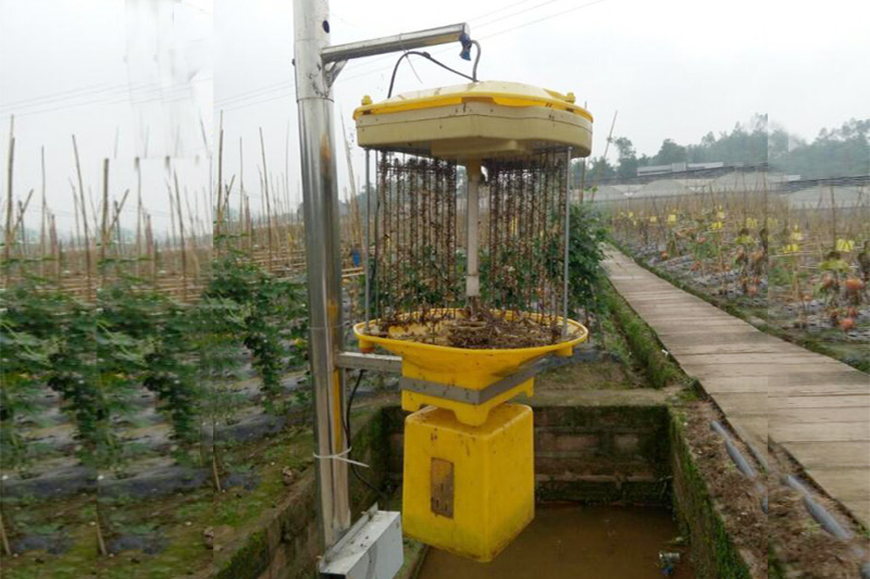 太陽(yáng)能殺蟲(chóng)燈在大棚菜地一個(gè)管30畝地