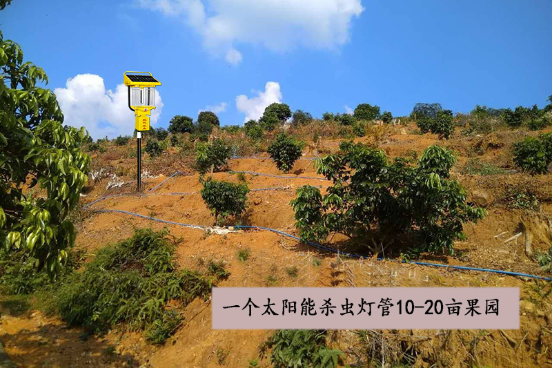 山地果園用太陽(yáng)能殺蟲(chóng)燈優(yōu)勢效益分析