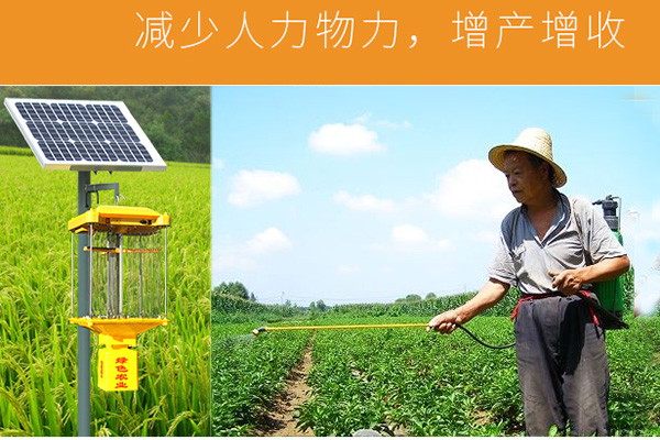 農用殺蟲(chóng)燈可以替代農藥殺蟲(chóng)嗎