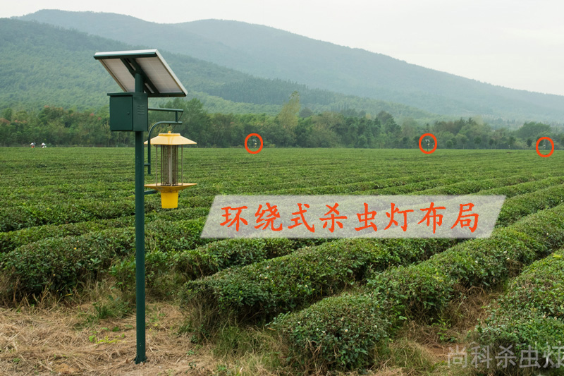 三種農用頻振式殺蟲(chóng)燈布局方式