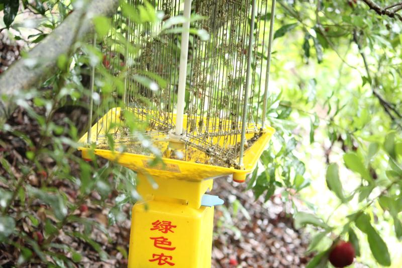 果園滅蟲(chóng)燈價(jià)格多少合適