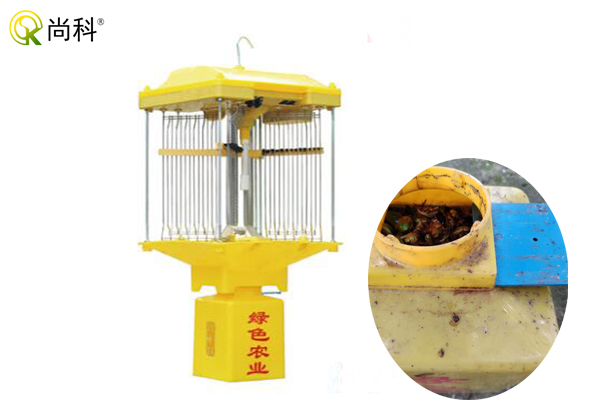自動(dòng)清蟲(chóng)殺蟲(chóng)燈用于養殖業(yè)作用大
