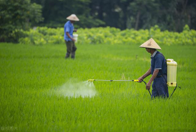 無(wú)人機和太陽(yáng)能殺蟲(chóng)燈提升水稻田害蟲(chóng)防治水平