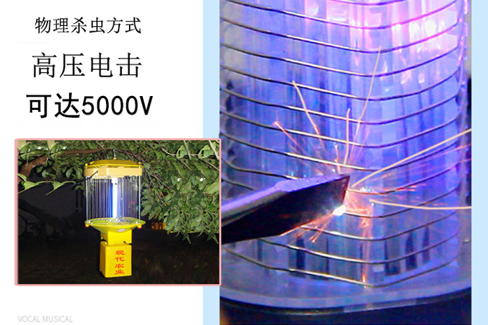 高壓殺蟲(chóng)燈什么價(jià)格，讓尚科告訴你