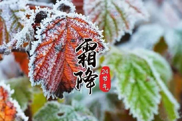 今日霜降，記得收起您的太陽(yáng)能殺蟲(chóng)燈