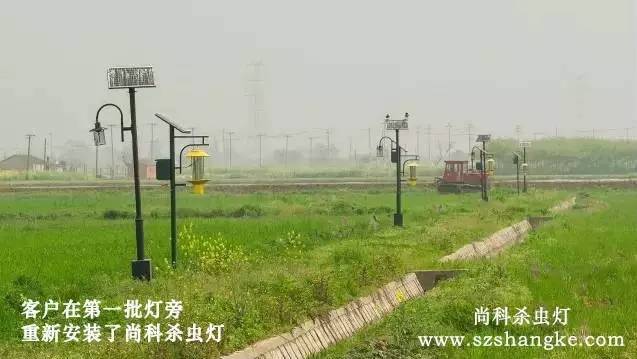 太陽(yáng)能殺蟲(chóng)燈哪家好？客戶(hù)用尚科殺蟲(chóng)燈圖