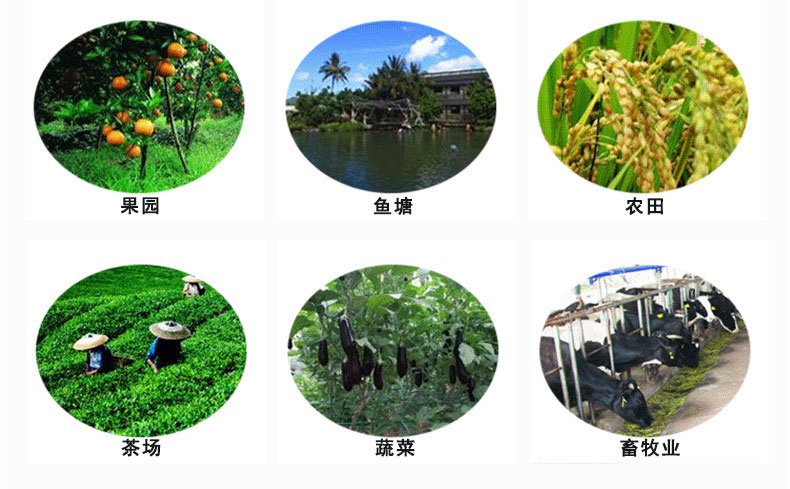 水淹式殺蟲(chóng)燈適用領(lǐng)域