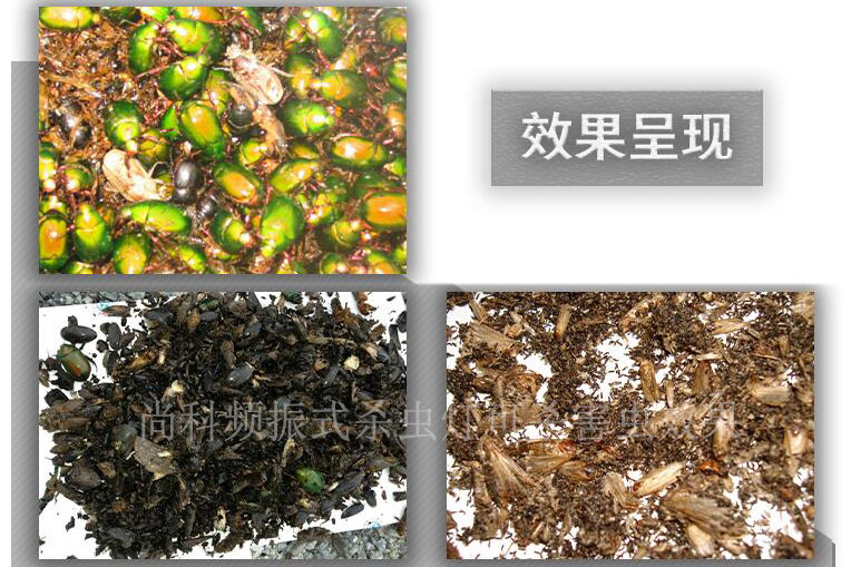 頻振式殺蟲(chóng)燈誘殺害蟲(chóng)實(shí)際效果