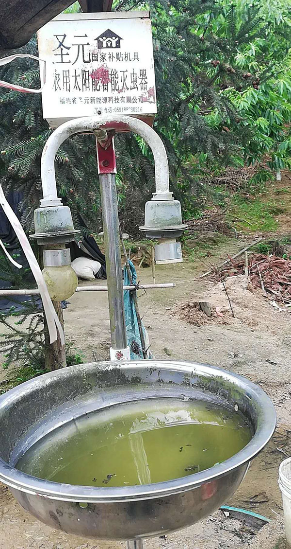 自制果園殺蟲(chóng)燈效果好不好