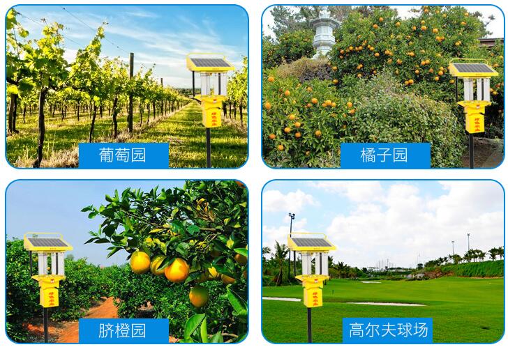 鋰電池小型太陽(yáng)能殺蟲(chóng)燈效果展示