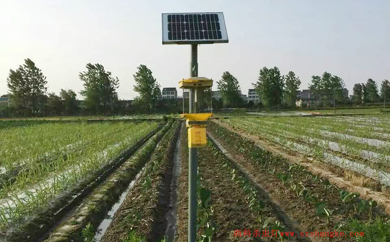 濟寧蔬菜種植園菜地太陽(yáng)能殺蟲(chóng)燈