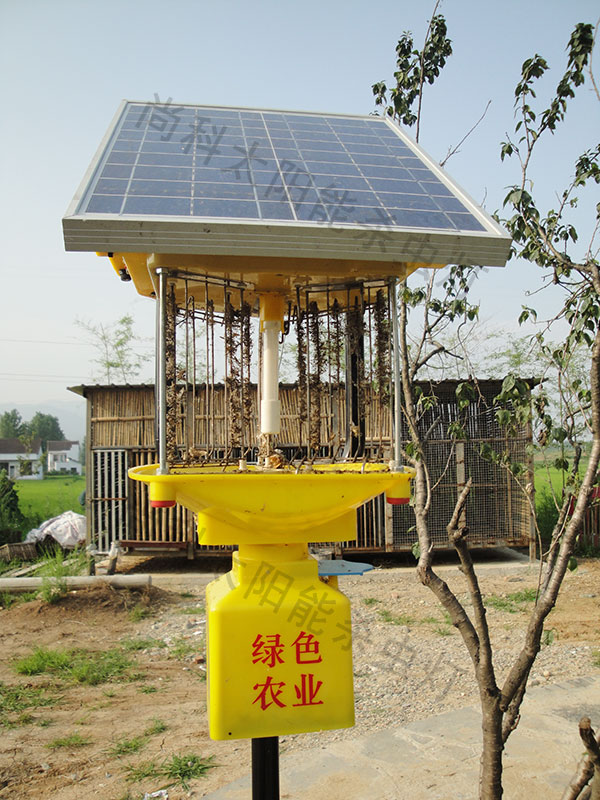 家禽養殖場(chǎng)使用太陽(yáng)能殺蟲(chóng)燈案例
