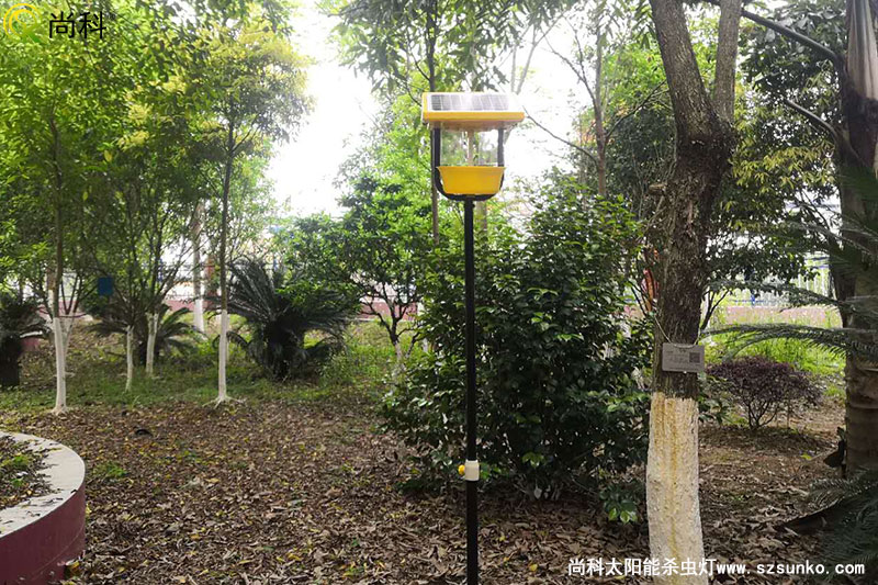 廣西南寧殺蟲(chóng)燈用于某園林式機關(guān)大院效果圖片