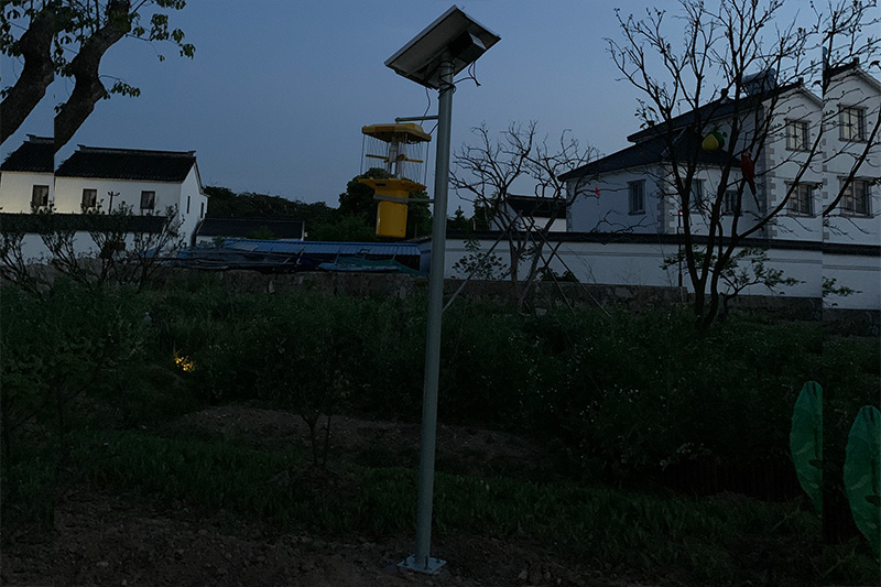 大型高桿太陽(yáng)能殺蟲(chóng)燈安裝現場(chǎng)圖片