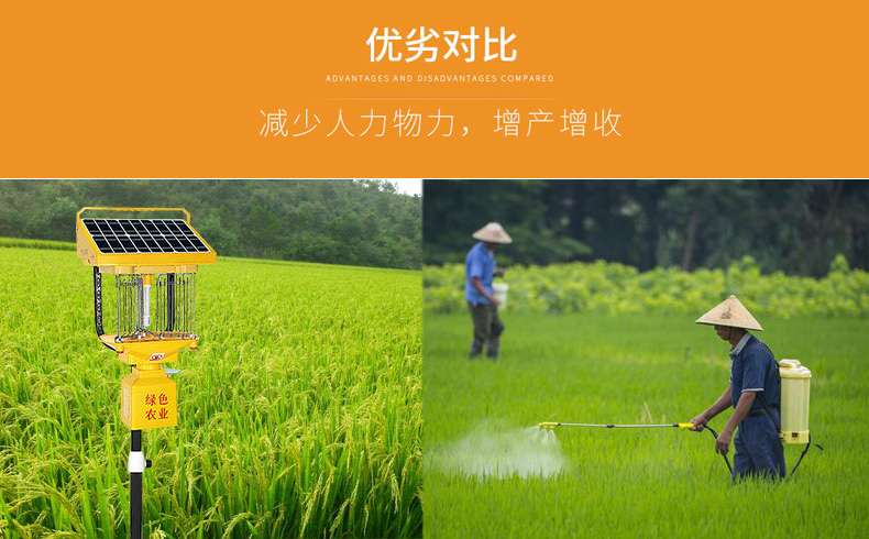 太陽(yáng)能殺蟲(chóng)燈助力水稻田害蟲(chóng)防治 太陽(yáng)能殺蟲(chóng)燈助力水稻田害蟲(chóng)防治