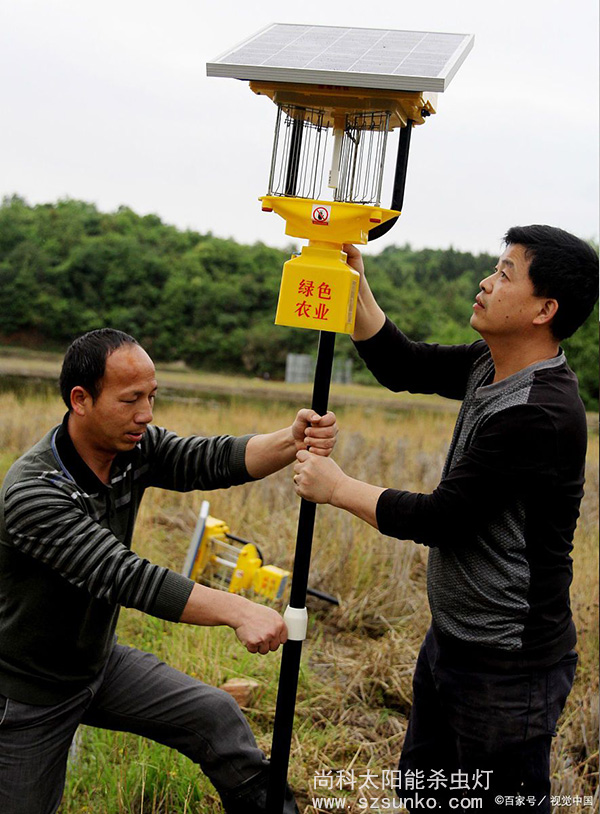 一體式太陽(yáng)能殺蟲(chóng)燈安裝現場(chǎng)圖片