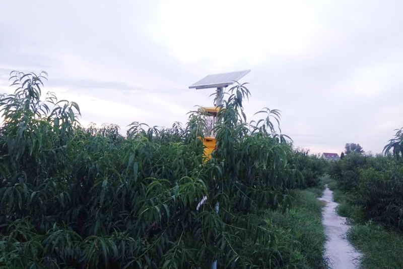 合肥桃園使用太陽(yáng)能殺蟲(chóng)燈效果