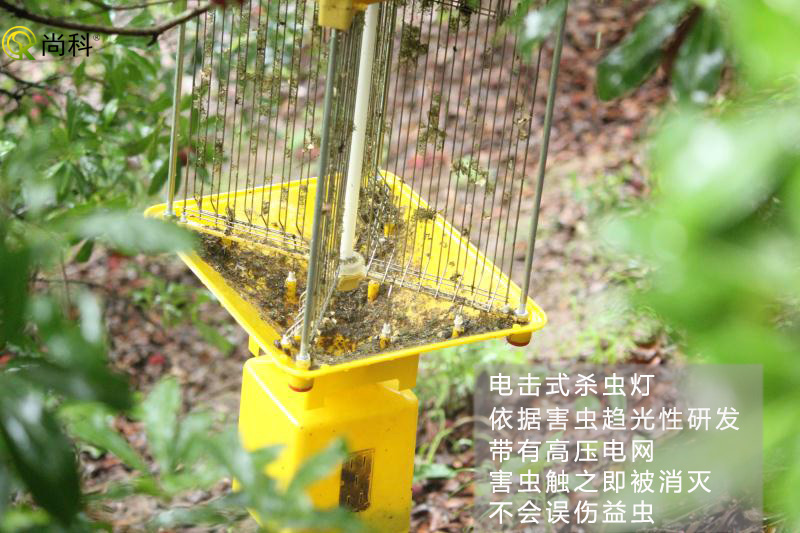 果園殺蟲(chóng)燈哪種好？電擊式果園殺蟲(chóng)燈效果好