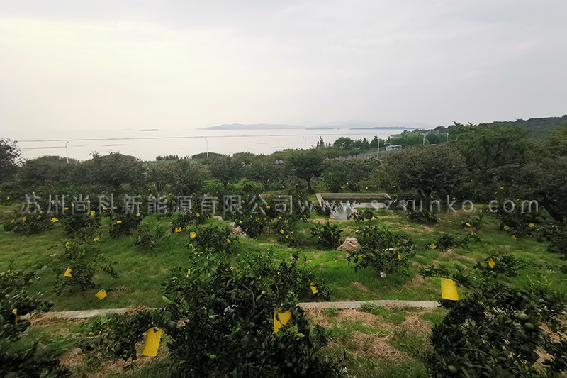 蘇州太陽(yáng)能殺蟲(chóng)燈黃板使用效果