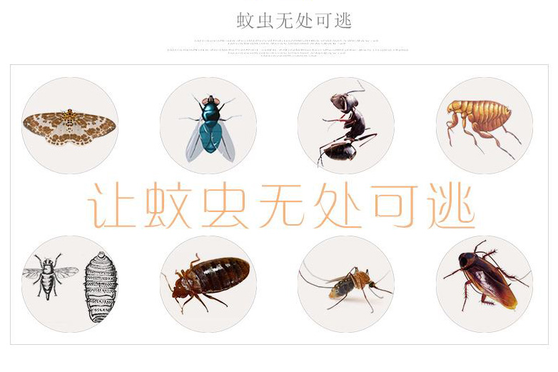 家居環(huán)境常見(jiàn)的害蟲(chóng)如蚊子蒼蠅