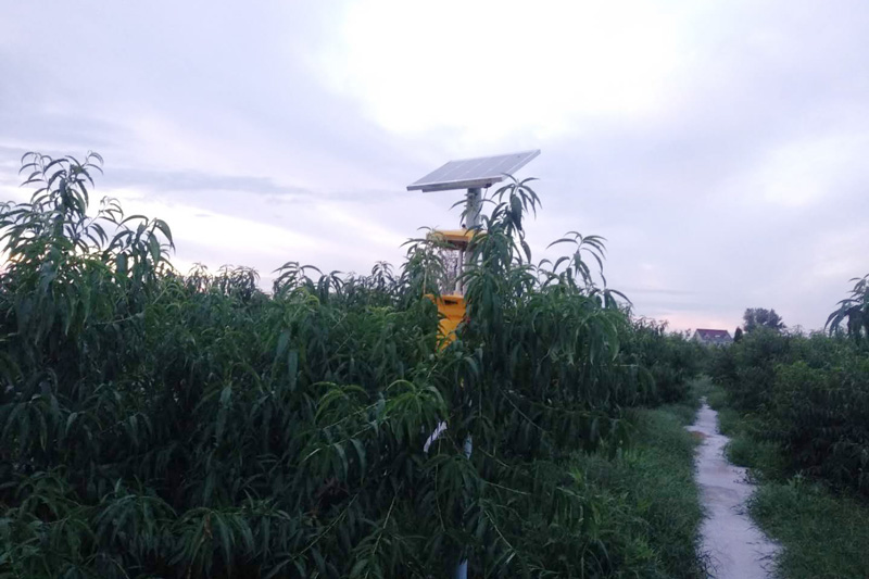 黑光燈多少錢(qián)？確定好黑光燈種類(lèi)，不要買(mǎi)錯了