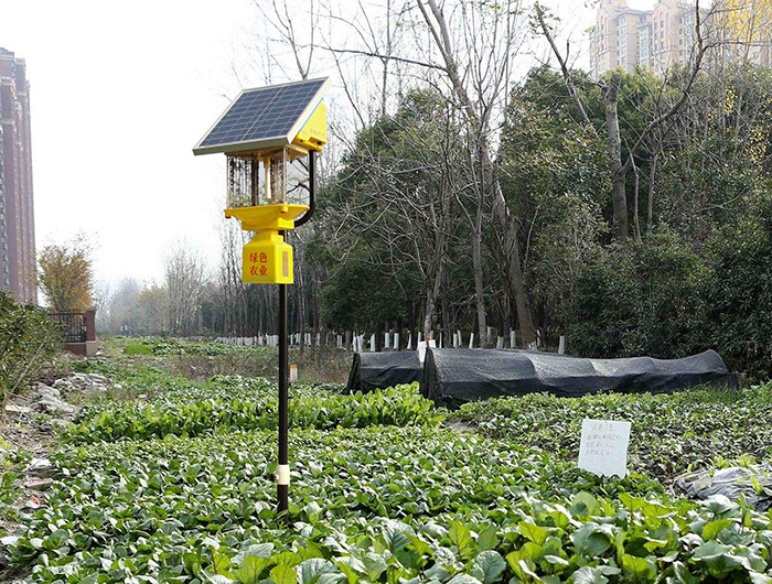 菜地殺蟲(chóng)燈的優(yōu)點(diǎn)有哪些，讓你的菜園更健康