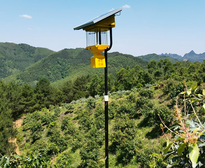 風(fēng)吸式太陽(yáng)能殺蟲(chóng)燈工作原理，總共5個(gè)步驟