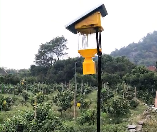果園殺蟲(chóng)燈每畝幾個(gè)，效果怎么樣