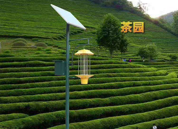 殺蟲(chóng)燈在農業(yè)中的重要作用及其優(yōu)勢